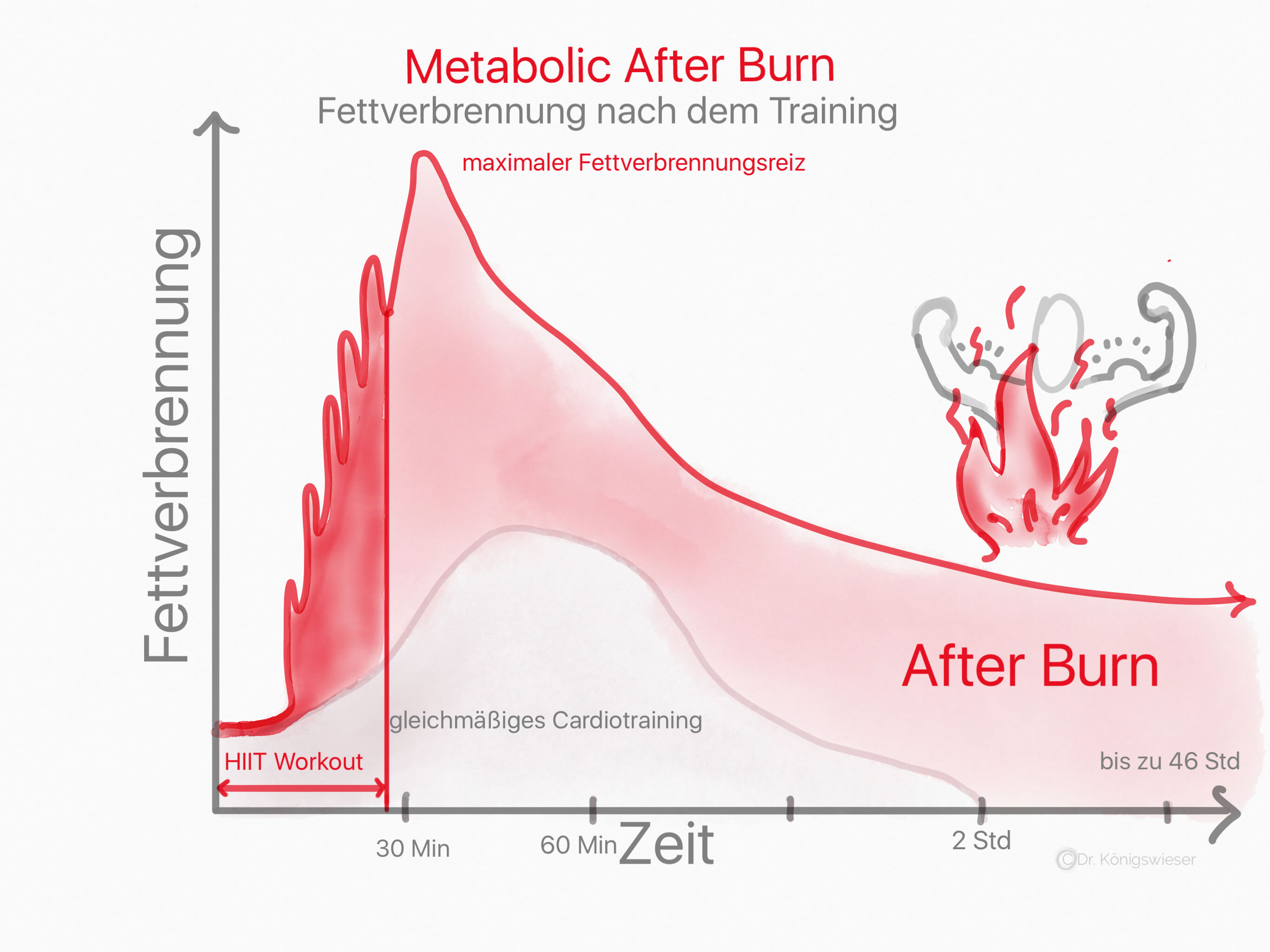 fettverbrennung