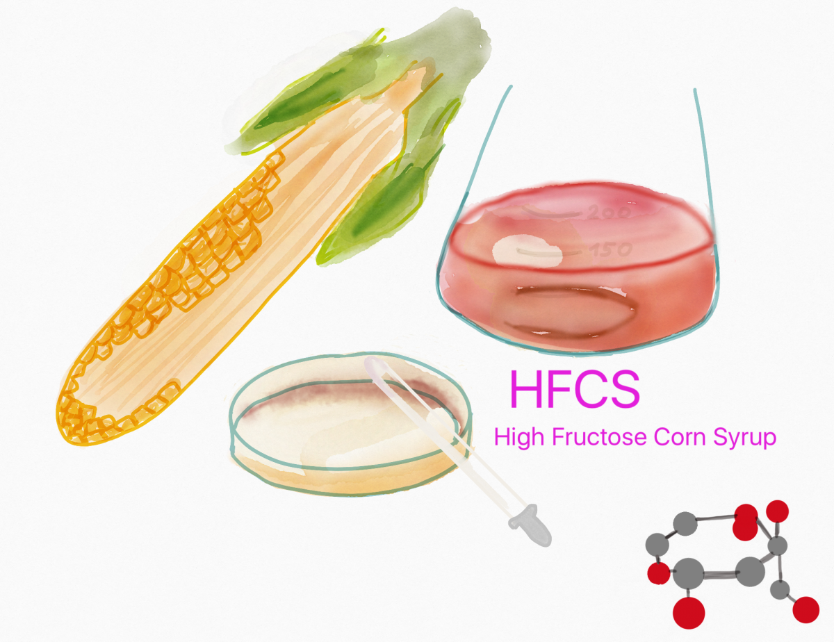 HFCS High fructose corn syrup © V.Königswieser PNG-Bild