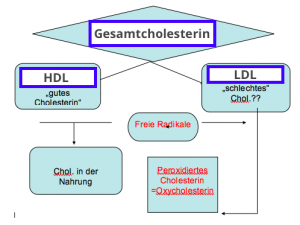 Oxidiertes Cholesterin ©Dr.V.Königswieser